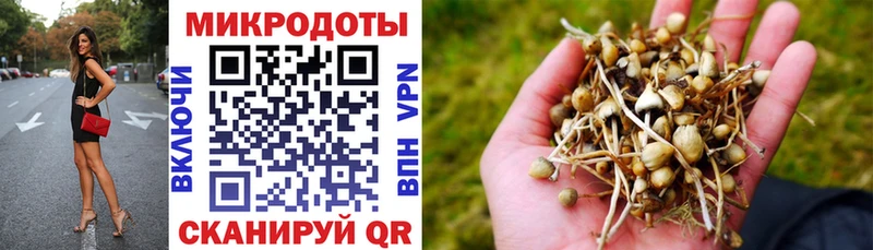 Псилоцибиновые грибы Cubensis  Дагестанские Огни 
